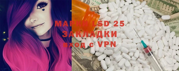 PSILOCYBIN Верея