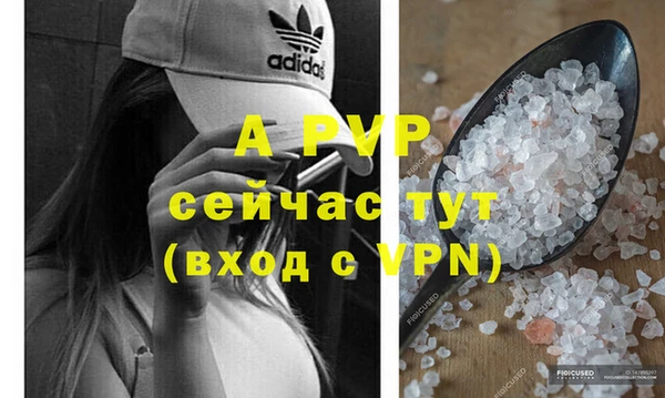 PSILOCYBIN Верея