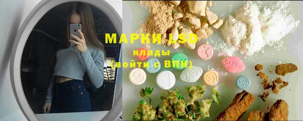 PSILOCYBIN Верея